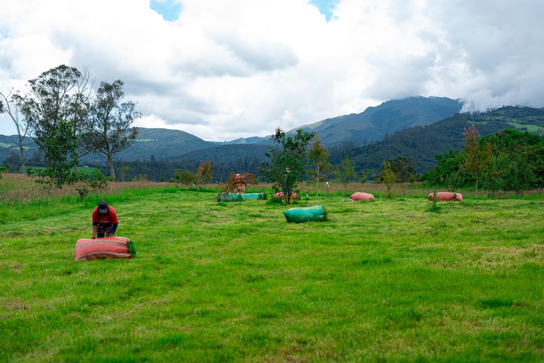 Programa Buen Vecino del Parque El Obraje