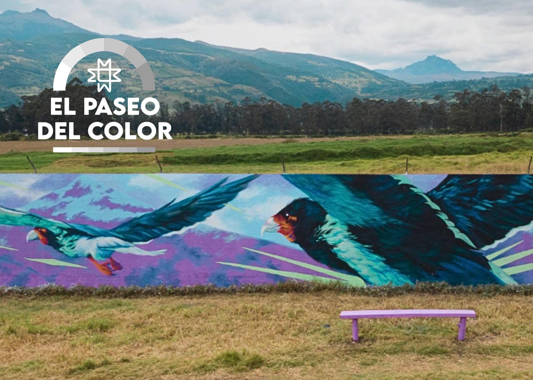 Programa Paseo del Color en Machachi